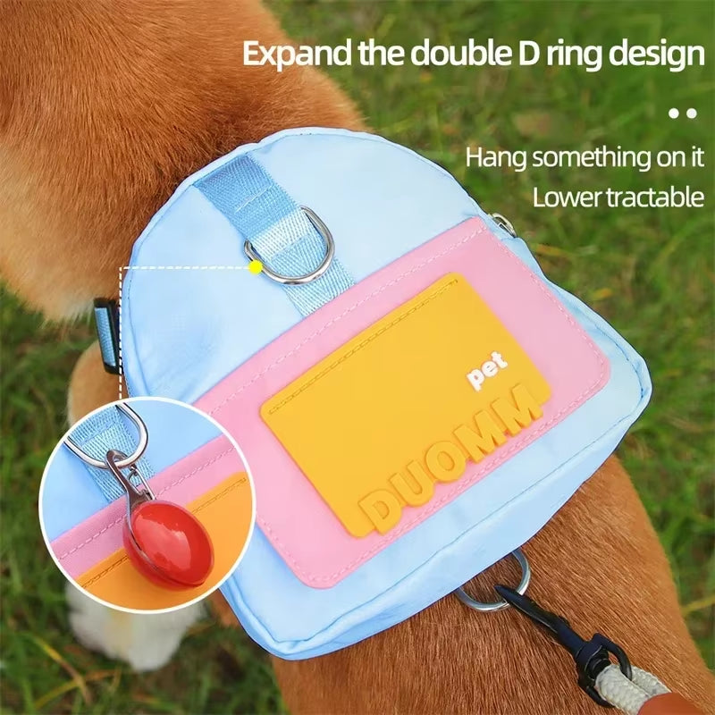 Pet Training Waist Bag Set – the Ultimate On-The-Go Companion for Walks & Rewards
