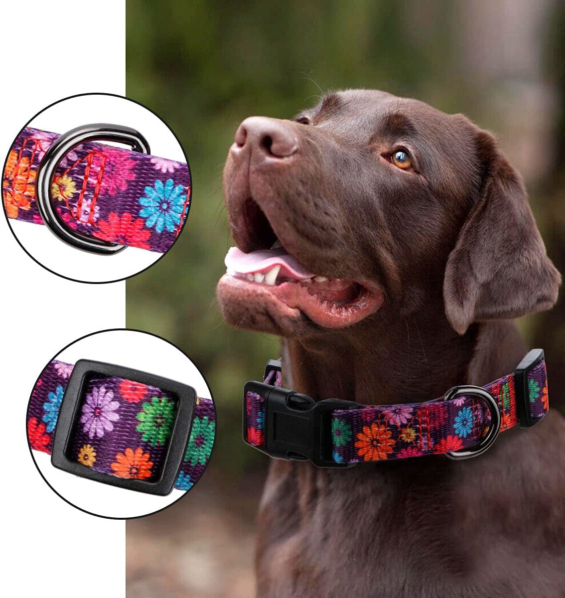 Girl Dog Collars Spring Cute Daisy Flower Pattern Lovely Print and American Flag Print Dog Collar