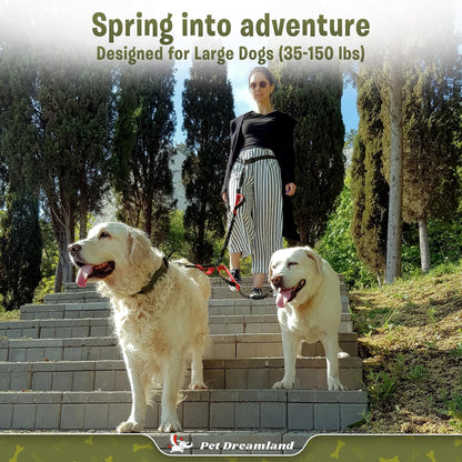 Exquisite Double Dog Leash for Large Dogs | Hands Free Dog Leash 2 Dogs | Waist Dog Leash for Large Dogs | Two Dog Leash for Large Dogs | Leash for Big Dogs | Hands Free Running Dog Leash