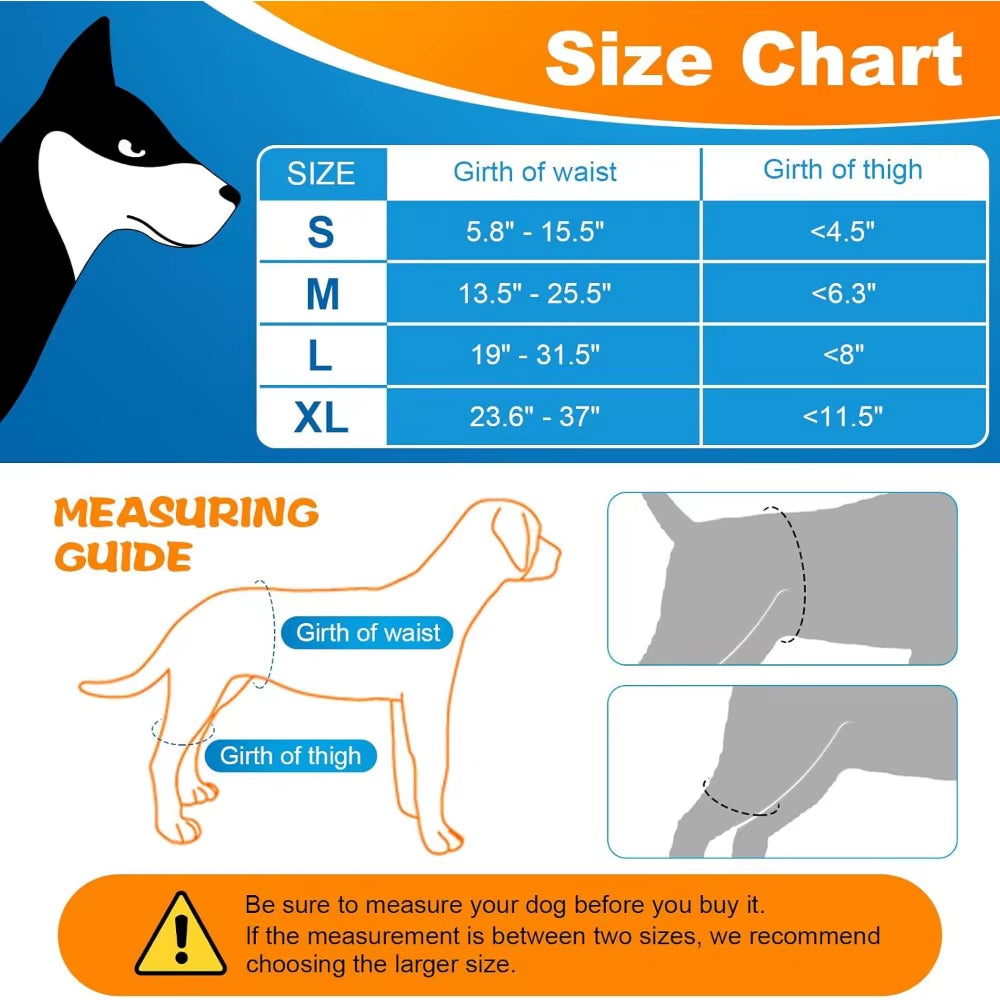 Flexipaws Hip Brace – Comfort & Support for Stronger, Healthier Hips