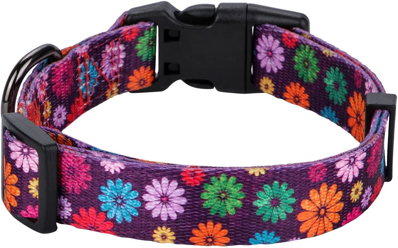 Girl Dog Collars Spring Cute Daisy Flower Pattern Lovely Print and American Flag Print Dog Collar